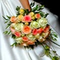 The Wedding Day Company 1099544 Image 9